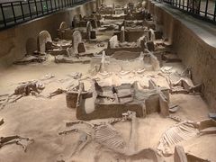 -洛阳周王城天子驾六博物馆