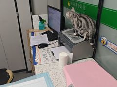 -半岛宠物医院24小时(科华中路店)