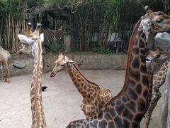 -长鹿旅游休博园