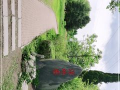 -黑龙江省森林植物园