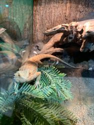 -酷嗒动物文化乐园(cutezoo西溪乐天城店)