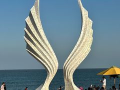 -日照海滨国家森林公园