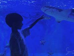 -太平洋海底世界