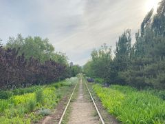 -永定河休闲森林公园