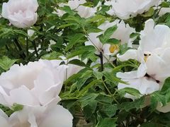 -江南大学(蠡湖校区)