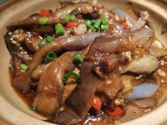 -大榕树下顺德菜(融创茂店)
