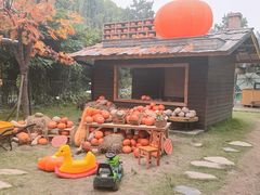 -HERRE·FARM 赫尔露营农场·团建聚会包场