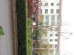 -王老实筋头巴脑锅里壮(泊头店)