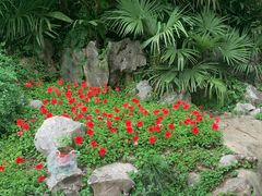 -菊花台公园