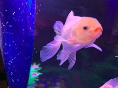 -梦幻海洋王国(吾悦广场张家港店)