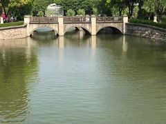 -上海鲜花港