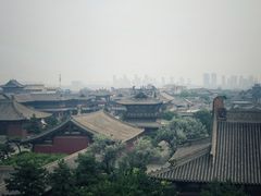 -东方削面(市政府店)