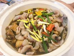 -龙悦湾酒家·八阵鱼生·渔人码头店
