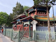 -牛街洪记小吃店(牛街店)