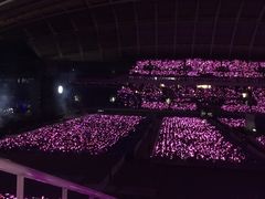 场馆-沈阳奥林匹克体育中心