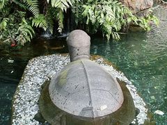 -鼎湖山风景区