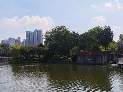 -荔湾湖公园