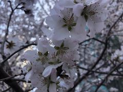 -乌鲁木齐市第二十三中学