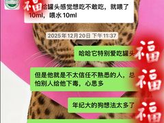 -派美特宠物医院·核磁CT·骨科肿瘤·疑难转诊(沈农禾丰店)