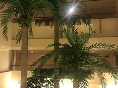 -深圳维景酒店