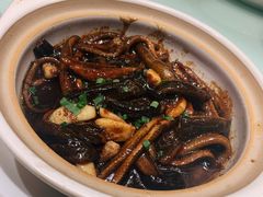 响油鳝糊-扬州狮子楼·非遗淮扬菜(总店)
