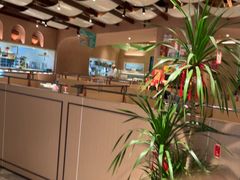 -Aqua Oasis 水天堂(相城天虹商场店)