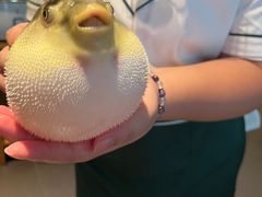 -永安鱼庄·镇江菜(东吴路店)