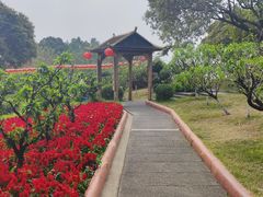 -广州莲花山旅游区