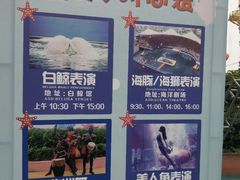 -秦皇岛乐岛海洋王国