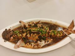 豉汁回鱼-九头鸟酒家(四道口店)