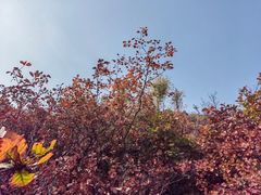 -周口店坡峰岭风景区