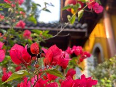 -杭州上天竺法喜讲寺