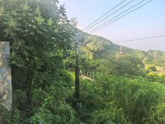 -远山有窑
