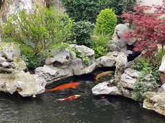 -鲤院·新中式美学·庭院餐厅(夫子庙店)