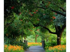 -厦门湾·白塘湾火山公园