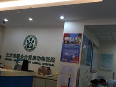 -美联众合爱康动物医院•复杂内科•肿瘤科•牙科•腔镜诊疗中心