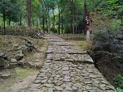 -仙霞关景区