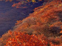 -水峪民俗村