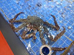 -晶渔坊·海鲜私房菜(东夷小镇店)