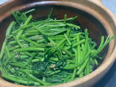-熠盛粤味·顺德桑拿鸡(永康路店)