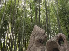 -泰山风景名胜区-普照寺