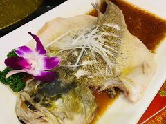 -刘胖子家常菜·蹄花焖藕(中南店)