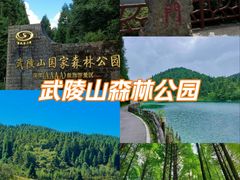 -武陵山森林公园