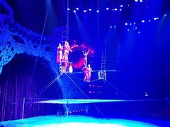 大马戏-珠海横琴长隆《卡卡虎奇遇记》