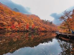 -关门山森林公园