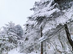 -峨眉山风景名胜区