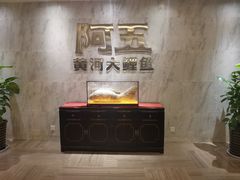 -阿五黄河大鲤鱼(纬三路店)