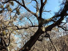 -沈阳市东陵公园