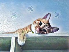 -文峰大世界(南大街店)