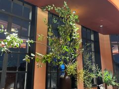 -滇野云南野生菌餐厅(陕西南路店)